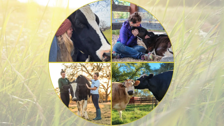 Screenshot 2025-02-25 at 12.18.26 PM